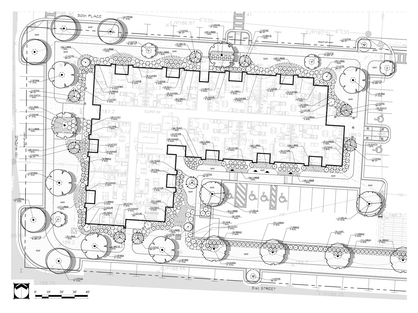 Construction planting plan for apartment building. Planting design and drafting done in AutoCAD.